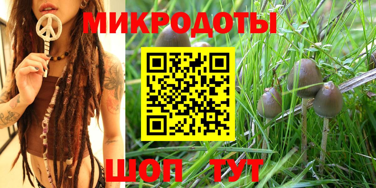 Таганрог  Псилоцибиновые грибы Magic Shrooms  Вход с VPN 